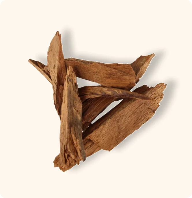 Kaunchbeej